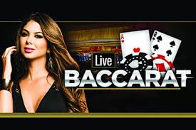 Live Casino Site